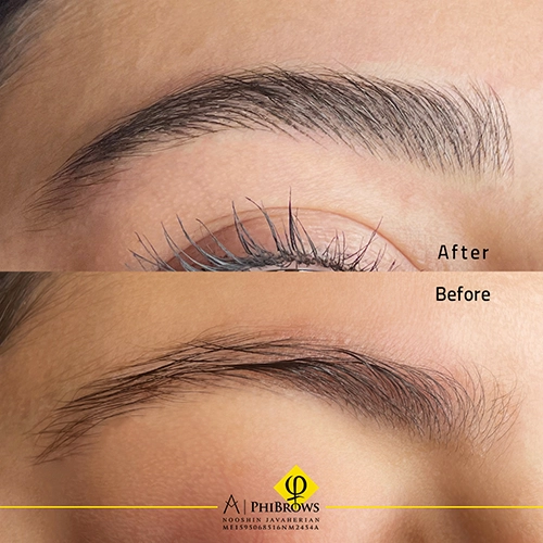 fluffy brows