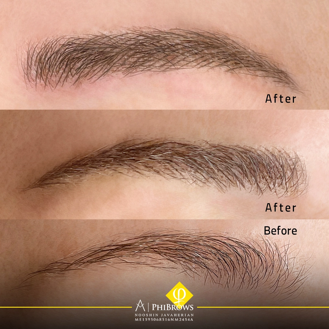 Bold Brows microblading