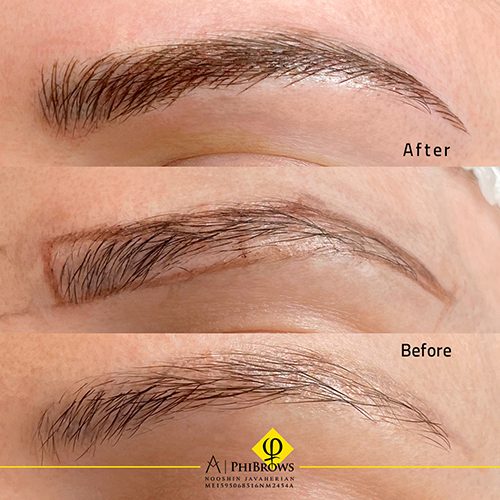 eyebrows transformation