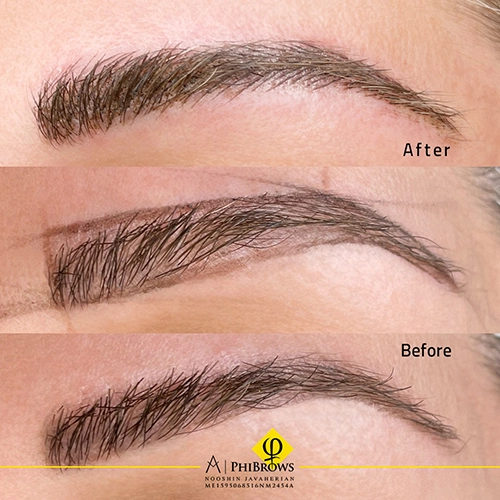 eyebrows transformation
