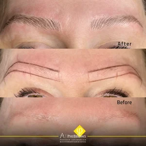 transformation eybrows