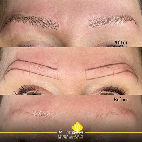 transformation eybrows