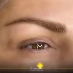 Pricing 4 | Canada Makeup | micro shading 2 1 | Canada Makeup | NOOSHIN Microblading & Shading